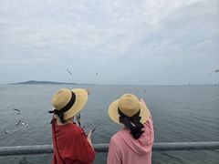 -悦海公园