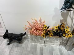 -肆兮眼镜·蔡司·徕卡战略合作店(大坪店)