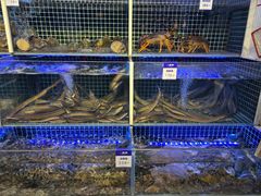 -开海·红岛海鲜虾水饺(石老人店)