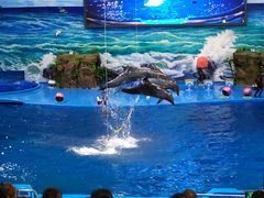 -多彩贵州城极地海洋世界