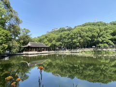 -忠山公园