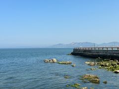 -养马岛旅游度假区