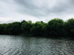 -长兴太湖图影湿地文化园