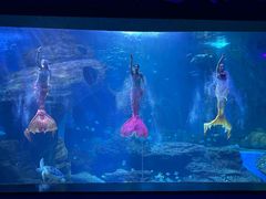-多彩贵州城极地海洋世界