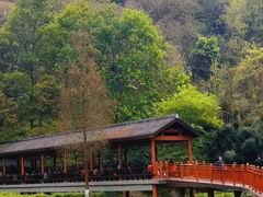 -重庆彩云湖湿地公园