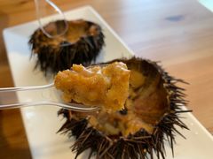 -海胆小馆(东北水饺·春柳店)