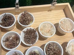 -丰卓会海鲜自助(中润大道店)