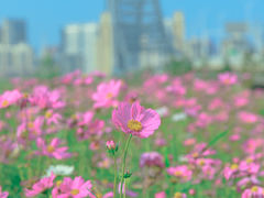-汉江湾体育公园
