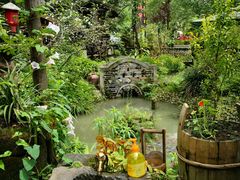 -青城甲(青城山店)