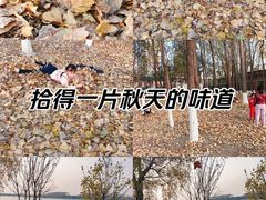 -丁香湖公园