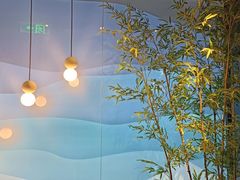 -星漾里•SPA•足道•按摩•养生(吕厝店)
