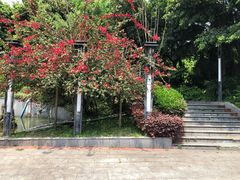 -重庆平顶山公园