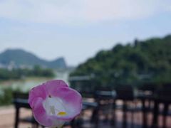 -忆咖啡观景餐厅(桂林象山公园店)