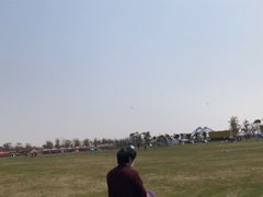 -春花秋色城市公园