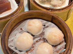 -金苑海鲜酒家(新港中路店)