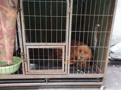 -古都梅按摩足浴(世界广场店)