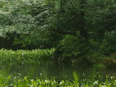 -上海共青森林公园