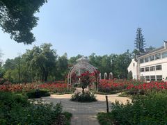 -东湖落雁景区