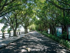 -大湾区中央湿地公园