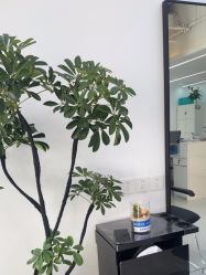 -V7 HAIR SALON