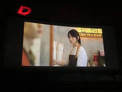 -枫花园汽车电影院(朝阳公园店)