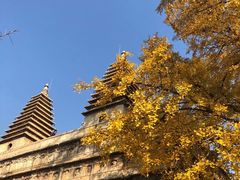 -北京石刻艺术博物馆(五塔寺)