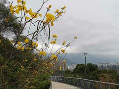 -牛岗山公园