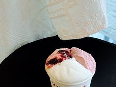 柠檬香草蔓越莓-Dal Cuore 达可芮冰淇淋(陕西北路店)