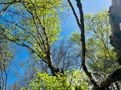-白草畔自然风景区
