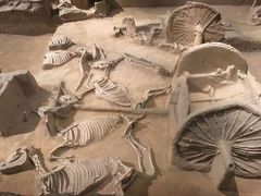 -洛阳周王城天子驾六博物馆