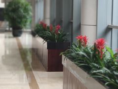 -杭州文化广播电视集团