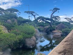 -罗红摄影艺术馆