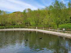 -哈尔滨北方森林动物园