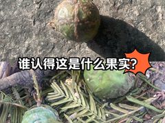-滨江攀岩