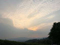 -火炉山森林公园
