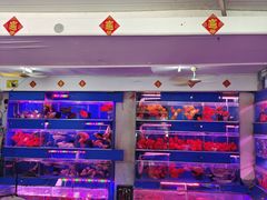 -清平路水族市场