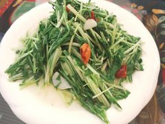 -泸沽肴(泸沽湖大洛水村农村信用社旁店)