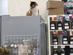 -玫瑰咖啡(中山六路店)