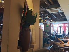 -翡翠鸟精品泰国菜(北辰财富中心店)