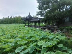 -高子水居