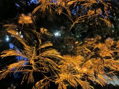 -汉仪华裳汉服旗袍·摄影写真馆(乌镇西栅店)