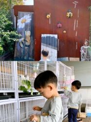 -小蜜蜂农场(凯德七宝购物广场店)