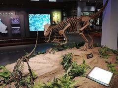 -自贡恐龙博物馆