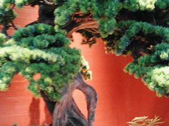 -阿伟海鲜楼·福建菜(延寿店)
