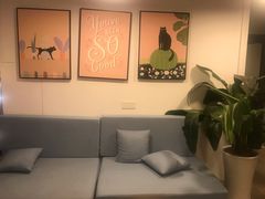 -有猫主题·治愈系猫咖(曾厝垵店)
