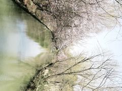 -同里国家湿地公园