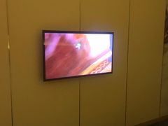 -苏州金鸡湖文博诺富特酒店