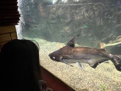 -太平洋海底世界