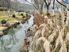 -羊山湖公园