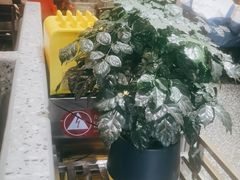 -黄记煌三汁焖锅(金凤万达广场店)
